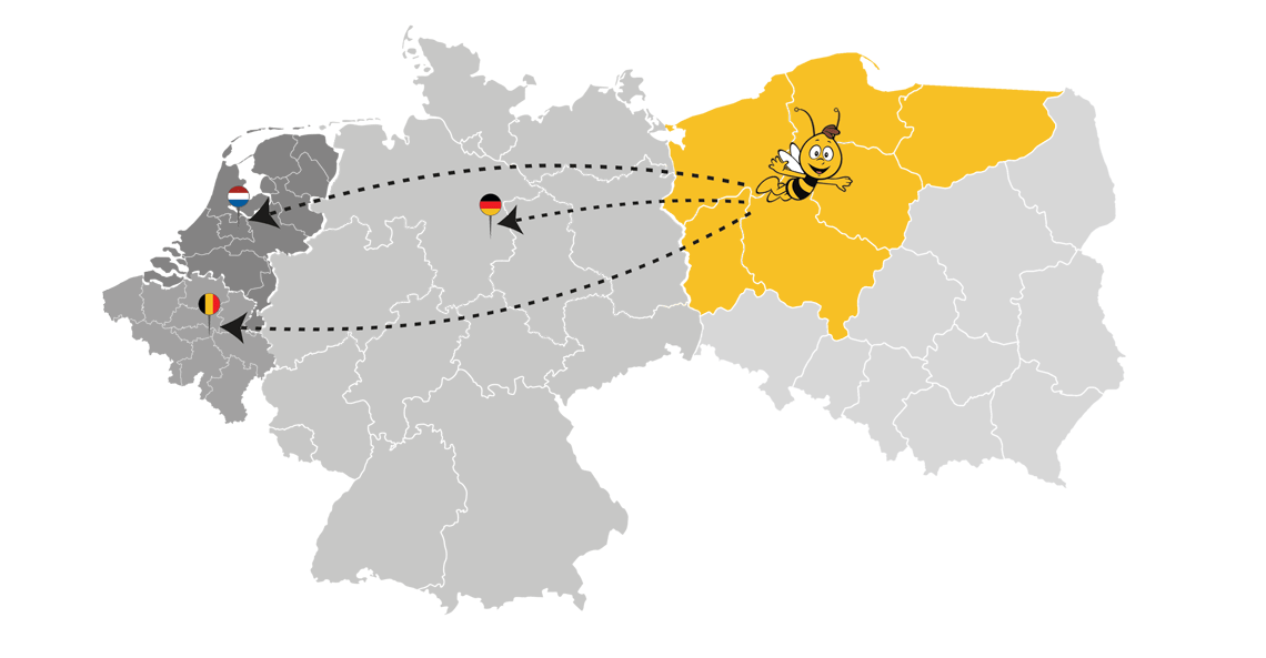 mapa zasięgu działalności firmy